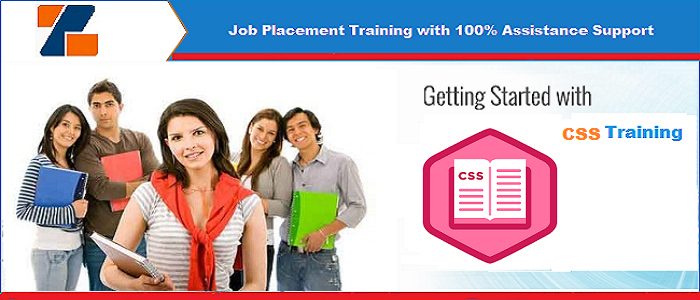 Best CSS training institute in noida