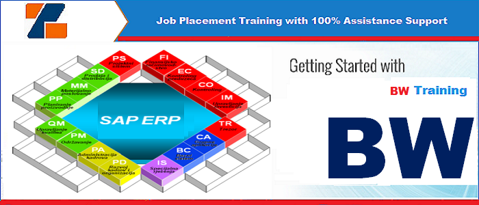 Best ERP BW training institute in noida