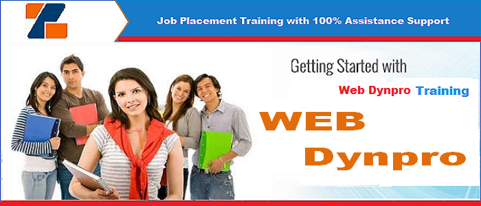 Best ERP Dynpro training institute in noida