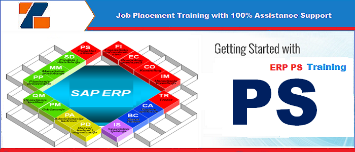 Best ERP PS training institute in noida